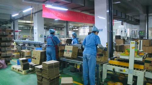 食品厂厂长爆料案例视频,揭秘食品安全背后的惊人真相 第3张 食品厂厂长爆料案例视频,揭秘食品安全背后的惊人真相 第3张